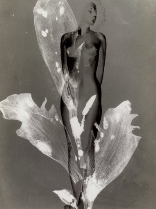 serafino-finasero:Pierre Boucher, Femme-fleur, inversion négatif-positif, solarisation et photogramm