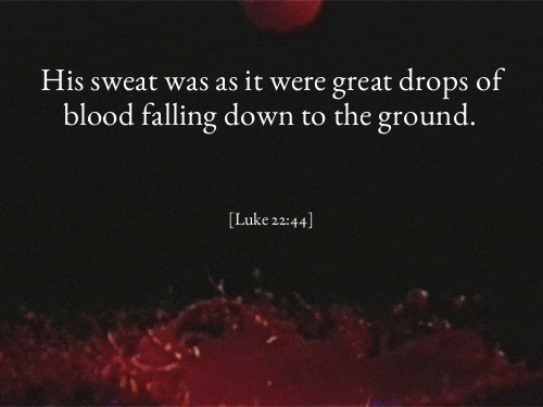 tumblr_o2jtzyl3h91u8dlg0o1_500.gif