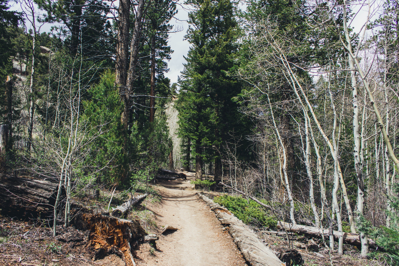 misskim:  The hike up to Gem Lake, Rocky Mountain National Park