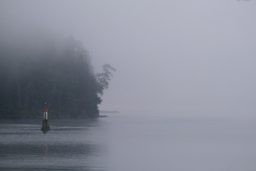 foggy channelgabriola island, bc