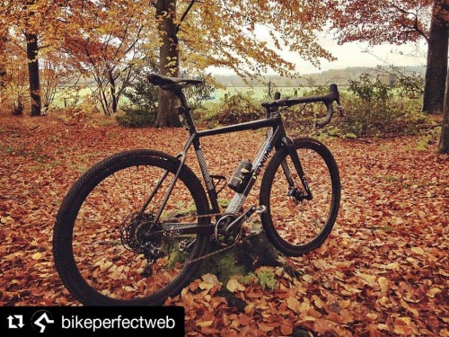 deanimacicli:#Repost @bikeperfectweb (@get_repost) ・・・ We’ve currently got this gravel rocket ship o