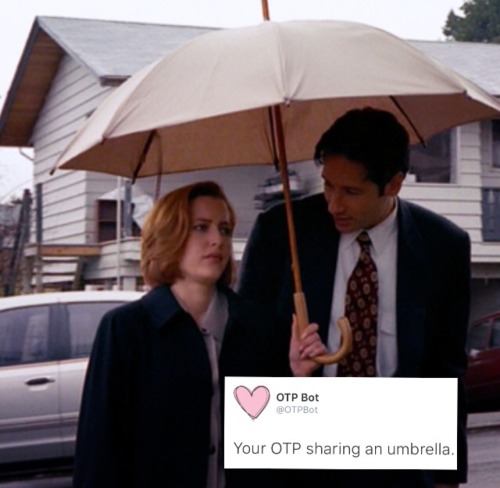 Scully x Mulder + otp things