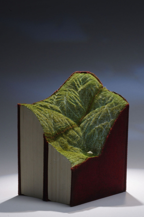 archiemcphee: Today the Department of Beguiling Book Art is catching up with the latest topographical book sculptures created by Montreal-based artist Guy Laramée (previously featured here). Laramée’s ability to carve detailed ice caves, mountains,