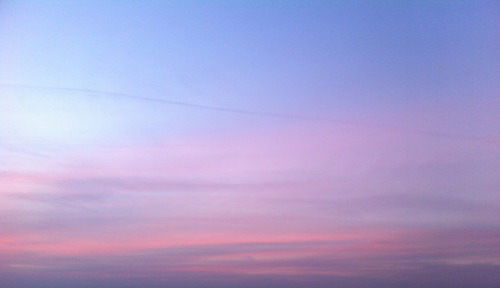 cloudplays:  the sky was v pretty today it was so pink i think it got a sunburn