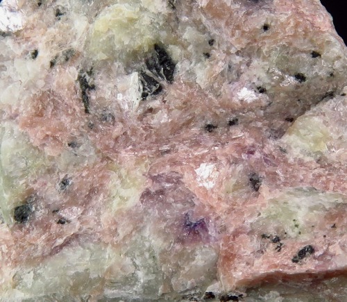 Rare Miserite on matrix - Dara-i-Pioz Glacier, Tien Shan Mountains, Districts of the Republican Subo