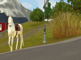 misfitsims:  There’s a horse in my sims’ town that has been walking backwards