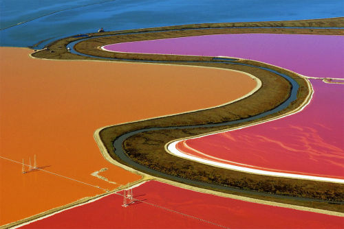 spugnardidesign:Daily dose of color: Salt Ponds | San Fransisco Bay, California | Photo Robert Campbell.