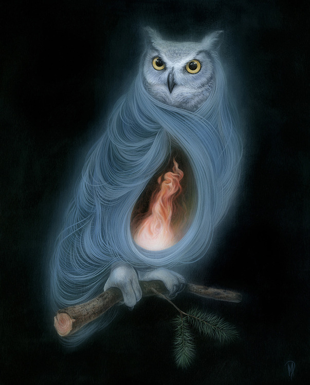 brokenartistry:  Dan May: The Owld Are Not What They Seem- 2006 