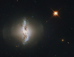 popmech:  Hubble’s View of the Polar Ring of Arp 230 (by NASA