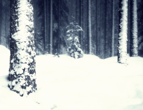 tumblr photo gageymoto 0