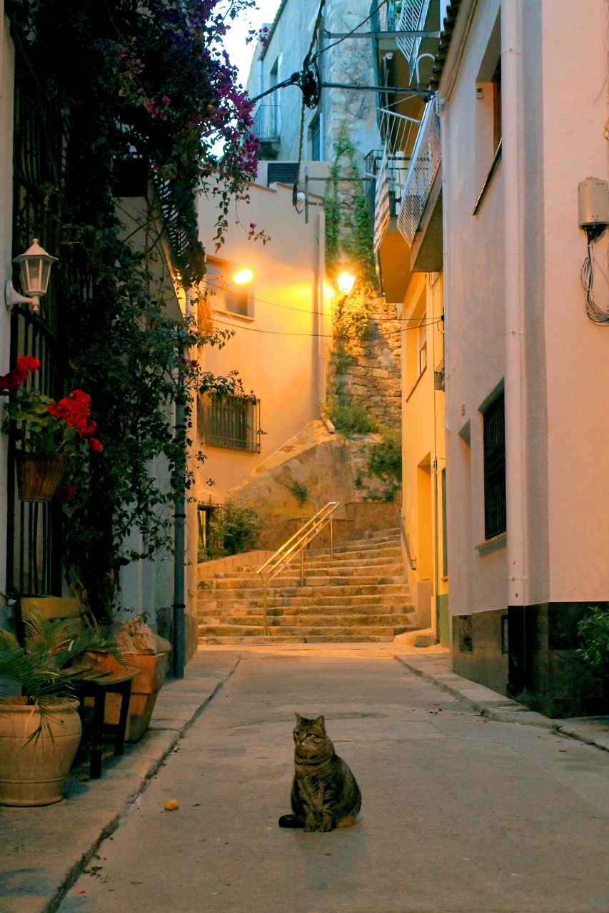 magicalnaturetour:  Victor Kats