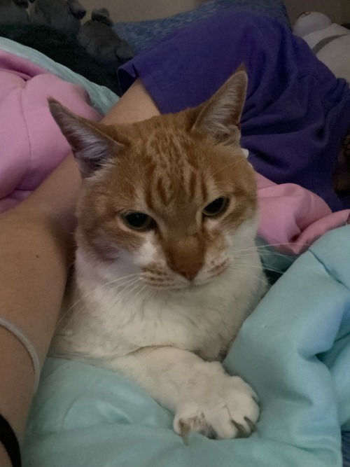Id Like For You All To Bear Witness To My Special Little Man, His Name Is Bread.