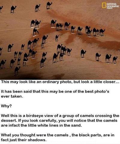 ka-kawgoodsir:  oheyitsroi:  OOOOOOOOOOOOOOOOOOOOHMY.  photo’s 