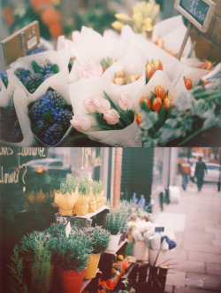 disporum:  The flower shop by Bazzerio on Flickr.  ✿