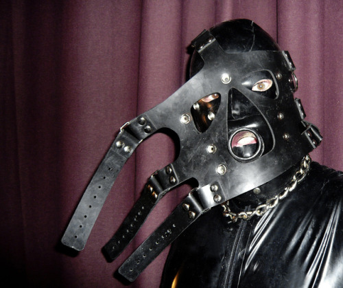 rubberdocs: My rubble muzzle :) www.rubberdocs.net