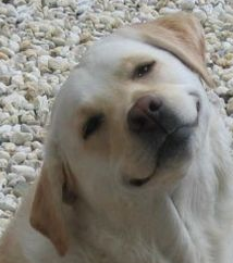 skypestripper:  hearing a story thats obviously made up  