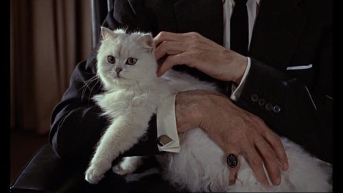 Ernst Stavro Blofeld