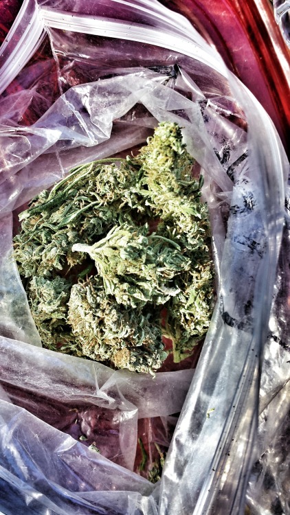 redkittymeow:  so i guess you can say today was pretty amazing. with fstop420