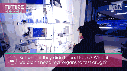 brigpod:  micdotcom:  Watch: These tiny “organ” chips could end animal testing