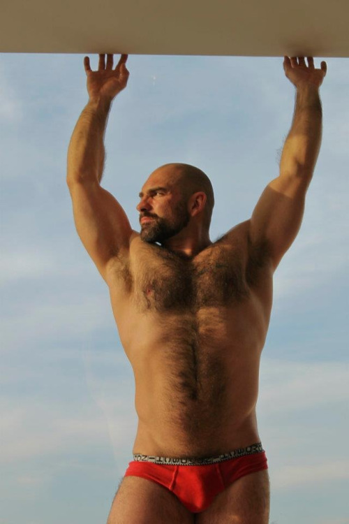 hrryhardon:  beardedstallions:  Real gay hookups: http://bit.ly/1IW4FHn  hrryhardon archive 