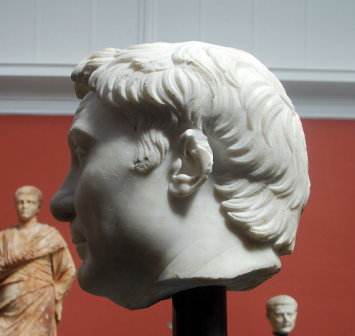 myglyptothek:Gnaeus Pompeius Magnus. Found in 1885 at The Licinian Tomb at Porta Pia. 30-50s AD copy