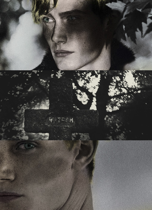 Favourite Book Serie: The Raven CycleAdam Parrish, Ronan Lynch, Blue Sargent, Richard Gansey III, No