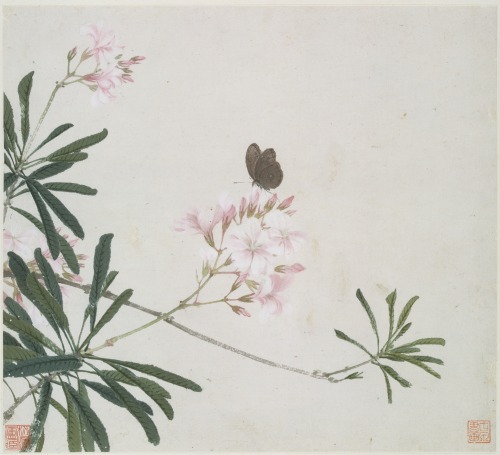 heaveninawildflower:Insects and Flowersby Ju Lian (Chinese, 1828–1904).Album of eight leaves; ink an