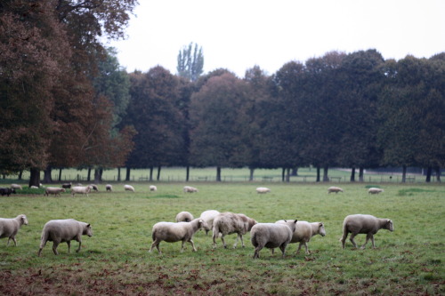 Versailles, France2014