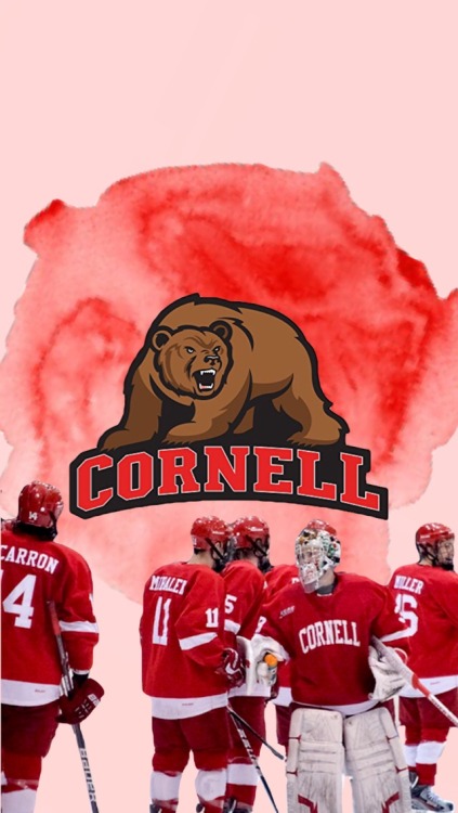 Cornell University hockey /requested by anonymous/