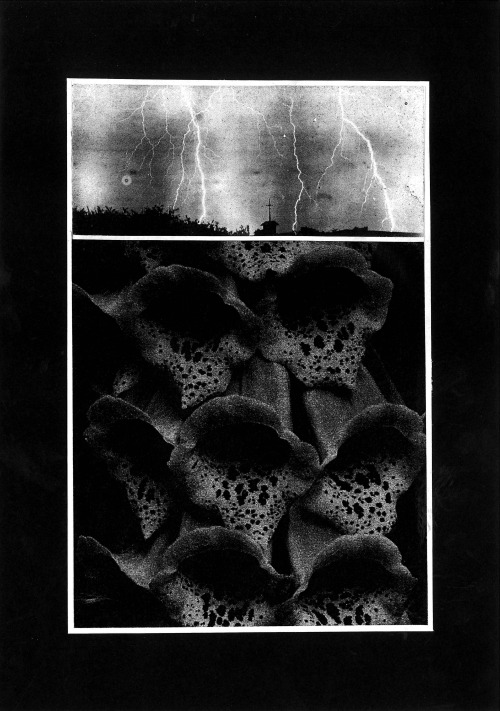 thee-aparicio:  Collage by Ewan Aparicio 