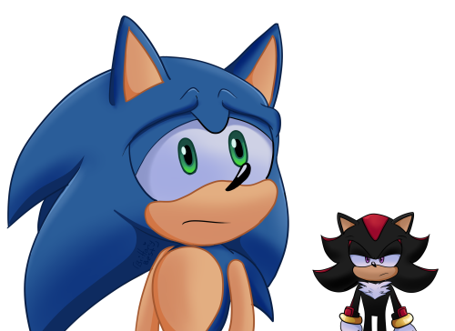 That One Part Where Sonic Is All Sad And Shadow Just Looks Annoyed In The Back