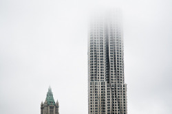 winterfellis: Misty Gehry, Misty Gilbert
