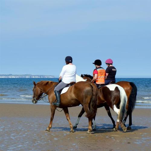 Beach Walk.