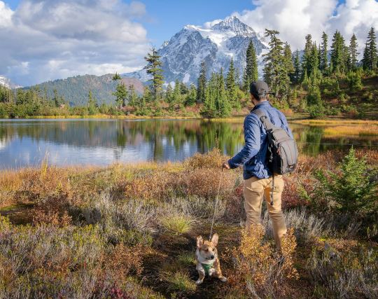 A Guide to the Top 15 Best Camera Bags and How To Choose in 2019