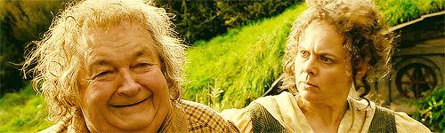 thearkenstone:Fireworks, Gandalf!
