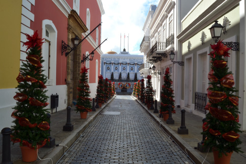 2014 Christmas decorations in Fortaleza street, Old San Juan, Puerto Rico.