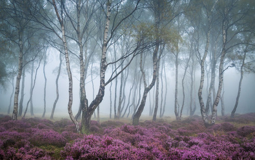 Misty Stanton 3 by J C Mills Photography on Flickr.