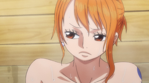 dekkenminus:Nami and Robin in episode 931.