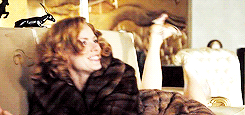 nataliedormers:Film Meme [ 6 ] Underrated or Unappreciated Films→ [ 1 ] Miss Pet