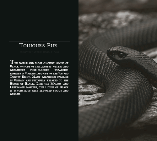 sincerelysansa: toujours pur; ladies of the noble and most ancient house of black.