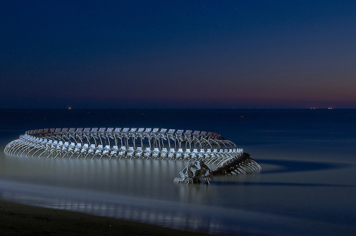  A Giant Twisting Serpent Skeleton Emerges from the Loire River in France 