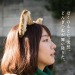 japaneseactress:どんぎつね