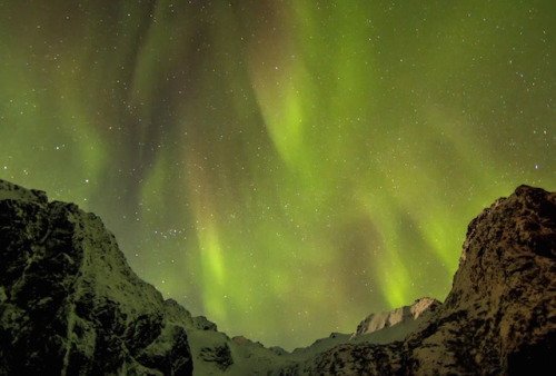 wordsnquotes:  landscape-photo-graphy:Timelapse Through Lofoten IslandsPhotographer Lasse Henning went in at the Lofoten Island located in the north of Norway, closed to the polar arctic circle. he came back with amazing pictures he assembled to make