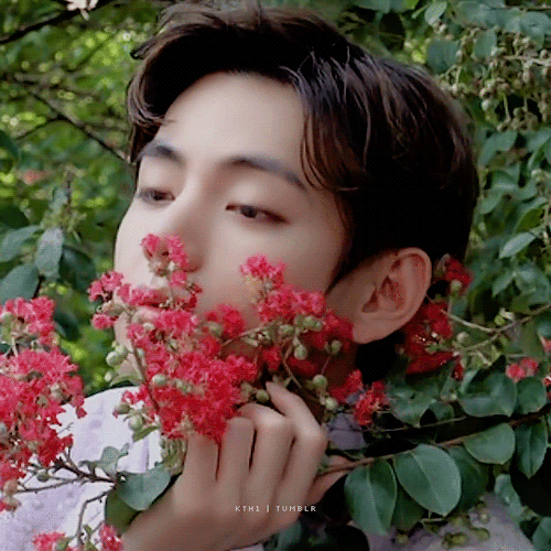 The Most Beautiful Flower