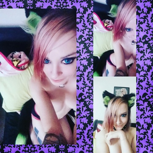 kittensplaypenshop:  toxictechnokitten: I got my kittens playpen set yay Ahhhhhhhhhh! Your look so great!! Them lime green and black is so cool :o I love it so much 