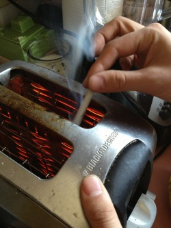 acid-hill:  jerseyshorestoner:  weedyindeedy:  demondazee:  beyondhighh:  throwingmyparentsoff:  Man, who needs a lighter anyway.  why did i never think of this when i needed a lighter o.O  reblogging for those stoners who ever find themselves without
