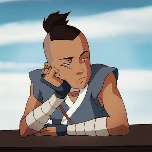 butterfliesandresistance:It&rsquo;s canon that Zuko can&rsquo;t resist Sokka&rsquo;s puppy eyes. 😉