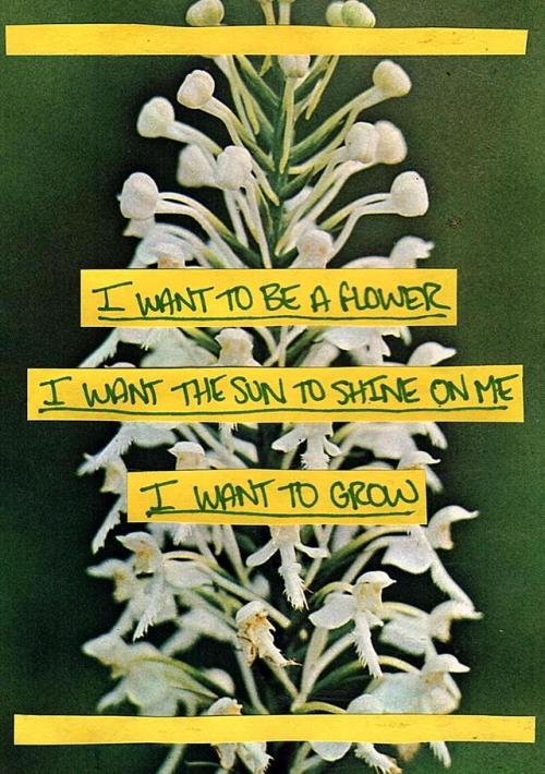 haleyincarnate: I WANT TO GROW !! LET ME GROW !! by @i-jupiterpluto