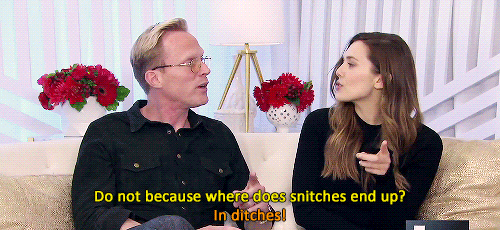 XXX thevisicns:  Paul Bettany’s many ways photo