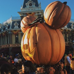 laadyyblue:  Despite spontaneously getting a really bad sinus infection &amp; getting stuck on Pirates of the Caribbean for an hour then being emergency evacuated, yesterday was absolutely incredible. Definitely the best Halloween yet all thanks to an